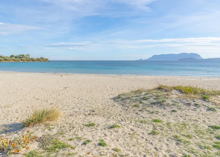 Brorent Casa Di Nettuno Appartement Olbia